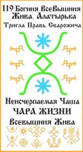 119-foto-russkaya-runa-vyshnyaya-zhiva